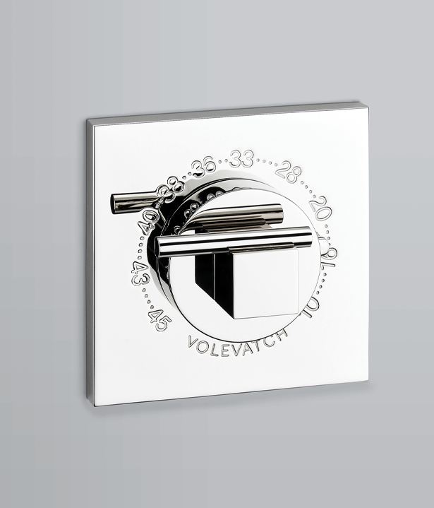 615X719-plaque volevatch